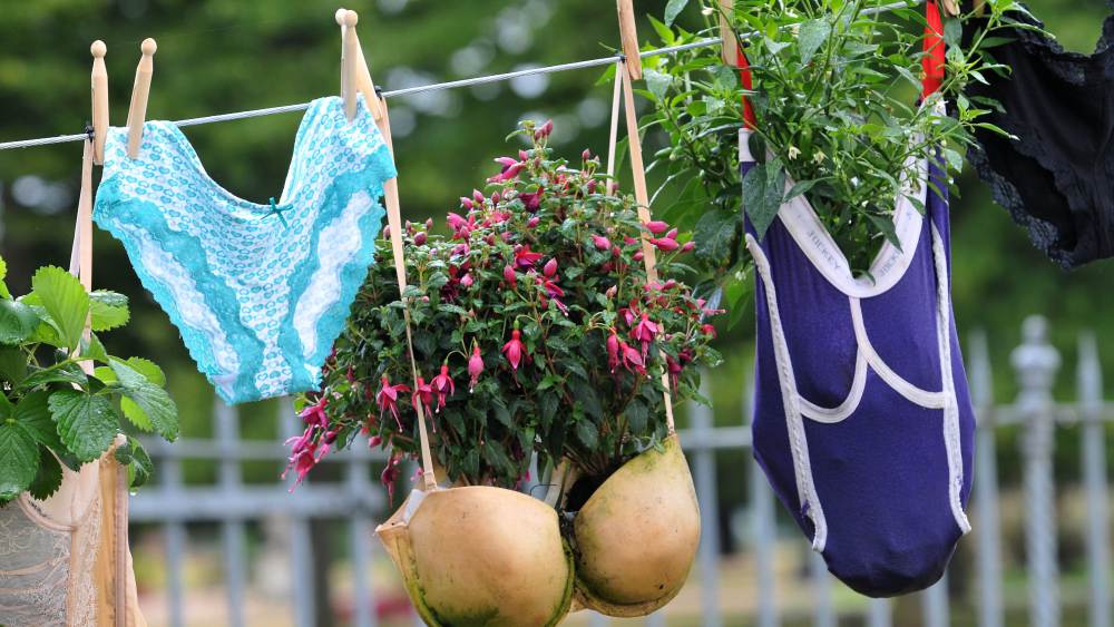 sustainable intimates lingerie