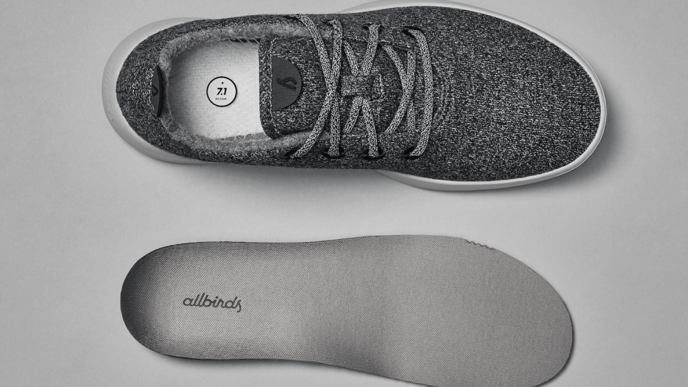 Allbirds, carbon, earth day