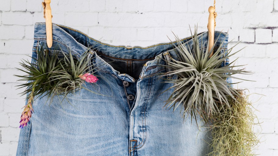 Future-facing denim companies will have to balance rebuilding their business with prioritizing sustainable investments, experts say.