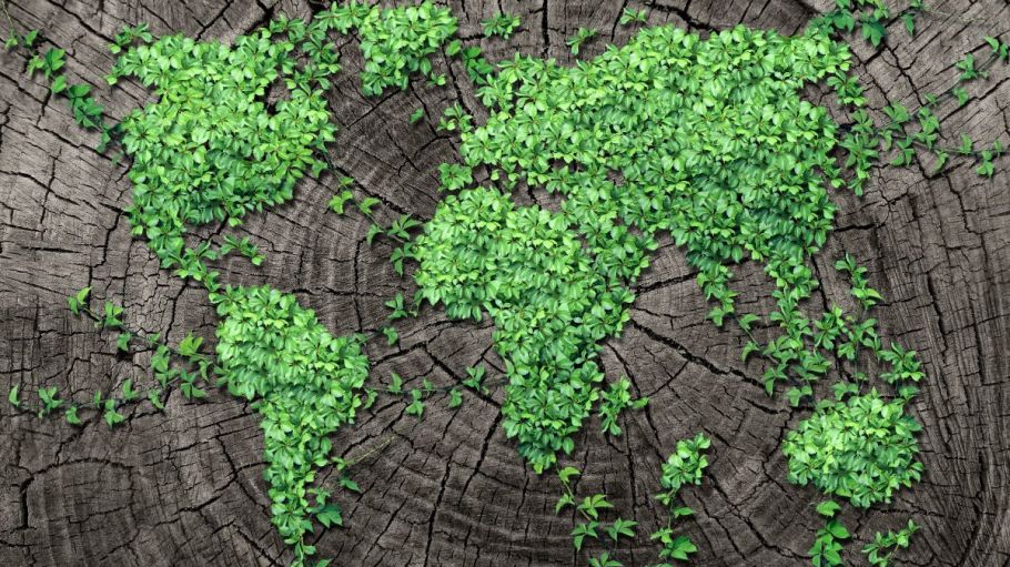 A growing number of fashion firms, including PVH and Inditex, want to turn the COVID-19 crisis into an opportunity for sustainable growth.