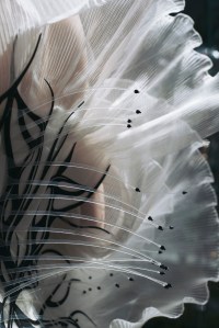 Iris Van Herpen Couture Fall 2020