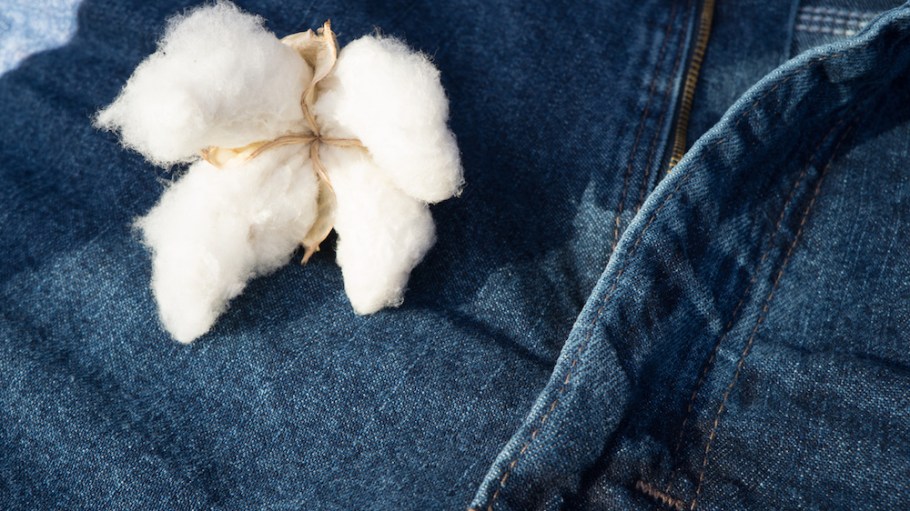Cone Denim partnered with supply-chain traceability specialist Oritain to provide cotton-sourcing transparency using forensic science.