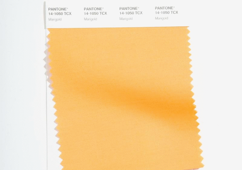 Pantone's projections for spring hues are sunny and optimistic.