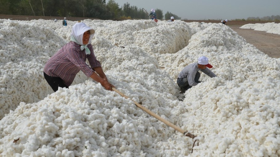 As WRAP, Bureau Veritas and more drop audits in the Chinese region hit by forced-labor allegations, what's the fallout for apparel sourcing?