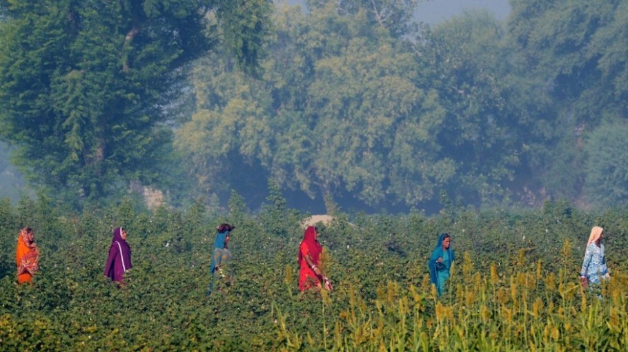 Artistic Milliners’ Milliner Cotton initiative promotes Pakistan’s organic cotton and provides transparency into the cotton supply chain.