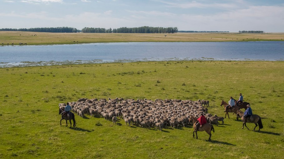 Chargeurs Nativa. NATIVA™ allows retailers to have revolutionary transparency with real-time traceability of their garments from farm to final product.