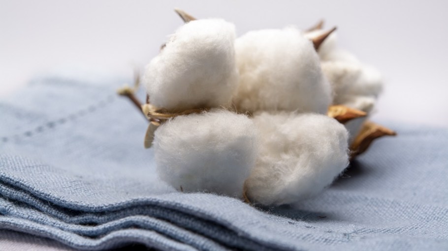 GOTS in implementing new measure to prevent fraudulent organic cotton claims.