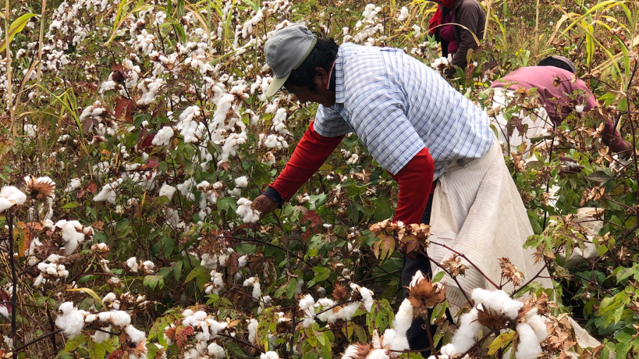 The decline in business from Italy coupled with cheap clothing imports from China and India has strained Peru's textile and apparel sector.