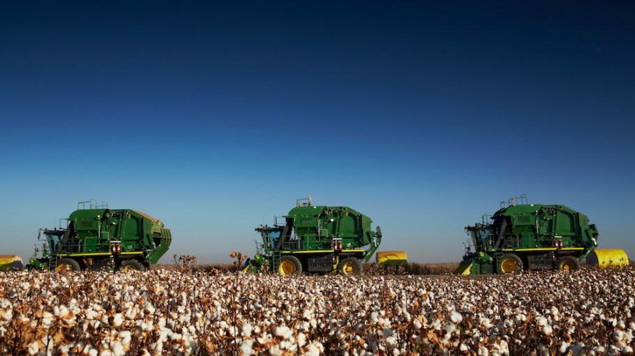 Supima's annual harvest event is returning to give licensees a firsthand look at cotton cultivation, but this year it will look different.