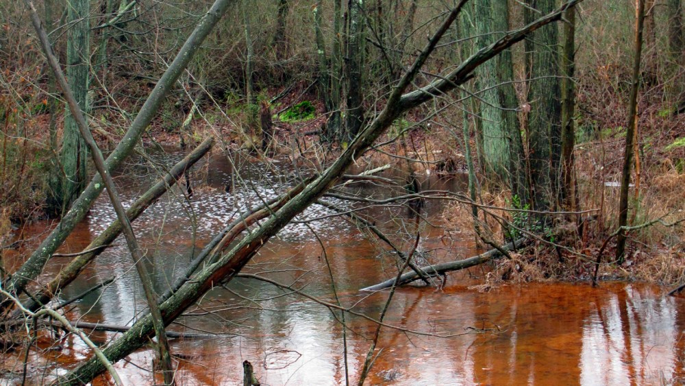 This Jan. 6, 2014 photo shows a stream running through a wooded area in Lakehurst, N.J. On March 25, 2019, the New Jersey Department of Environmental Protection ordered five companies that make chemicals used to stain-proof clothing and make non-stick cookware to fund a plan to clean up contamination of the state's environment, including waterways, that have been tainted by the presence of the chemicals. (AP Photo/Wayne Parry)