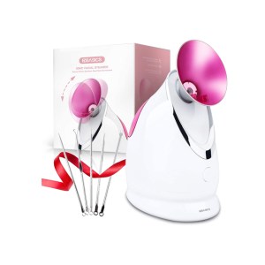 EzBasics Ionic Face Steamer