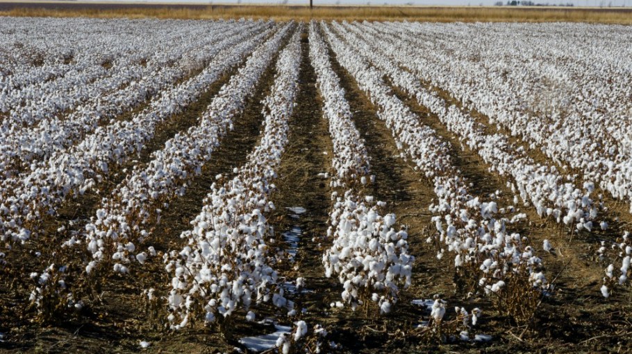 The planet is in the midst of a climate crisis, and clothing production is fueling the problem, says the Environmental Justice Foundation.