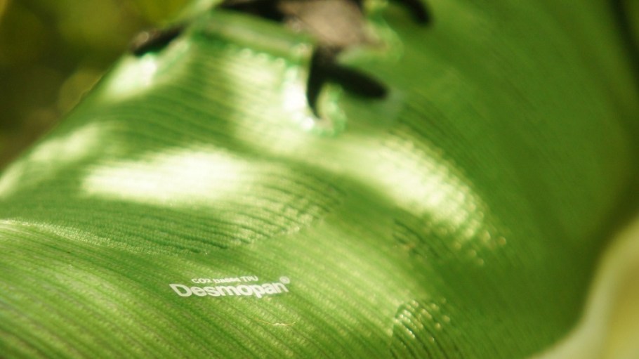 Covestro’s family of partially bio-based thermoplastic polyurethanes (TPU) is now being marketed under the name Desmopan EC.