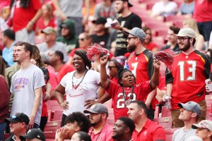 Fans cheer on the Tampa Bay Buccaneers.