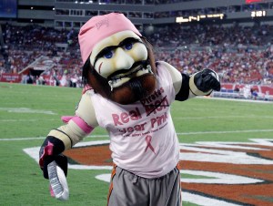 The Tampa Bay Buccaneers pirate mascot.