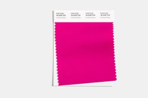 Pantone's F/W 21-22 Colors for NYFW