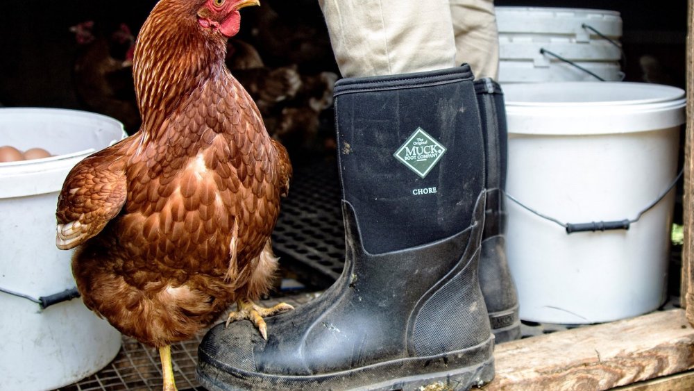 Rocky Brands boosted fourth quarter sales 16.3 percent to $87.6 million, but all eyes are now on Xtratuf and The Original Muck Boot Company.