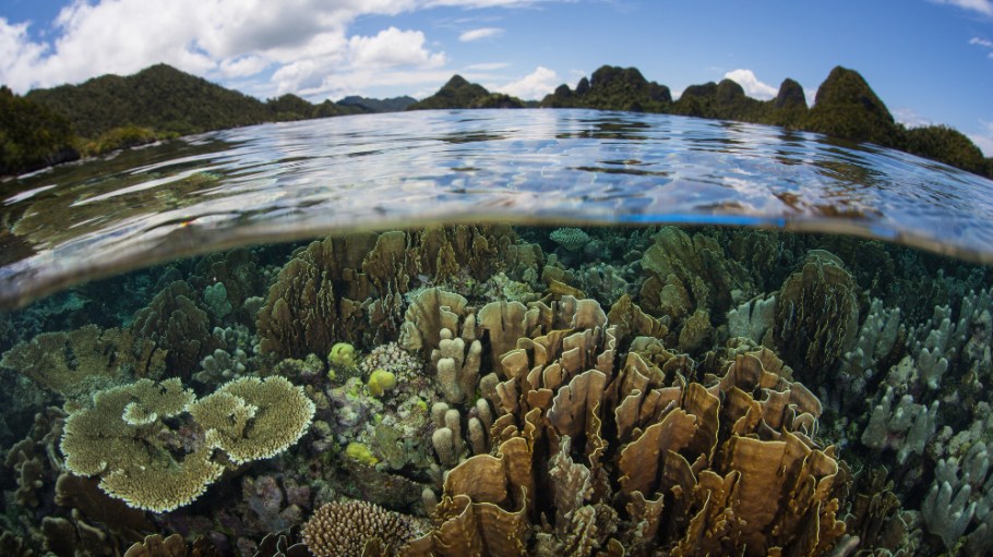 The Fashion Pact has launched a new science-based initiative to mitigate the industry’s sizable role in biodiversity loss.
