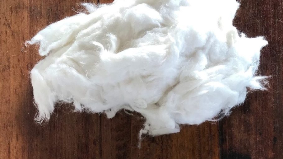 Kontoor Brands announced an expansion of its collaboration with Panda Biotech, an emerging leader in the industrial hemp fiber industry.