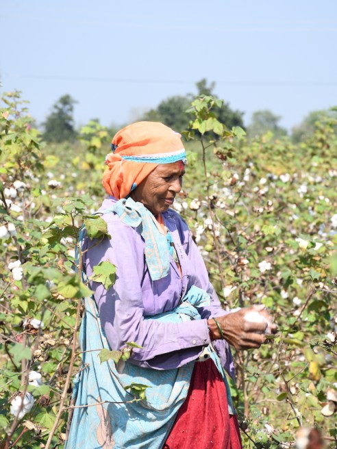 Bestseller will lead in-conversion cotton, the process of supporting farmers in the switch to organic cotton farming.