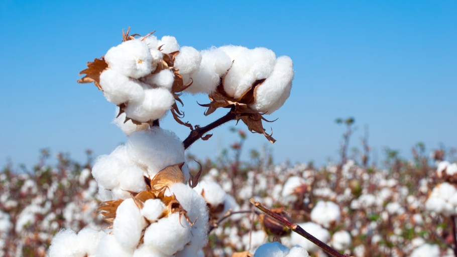 SupplyShift is offering a new way for fashion businesses to identify forced labor risk in their global supply chains amid Xinjiang tensions.