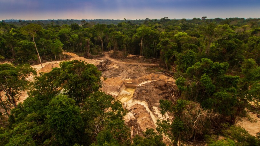 LVMH plans to deploy regenerative agriculture techniques to rehabilitate 5 million hectares of habitat “for flora and fauna” by 2030.