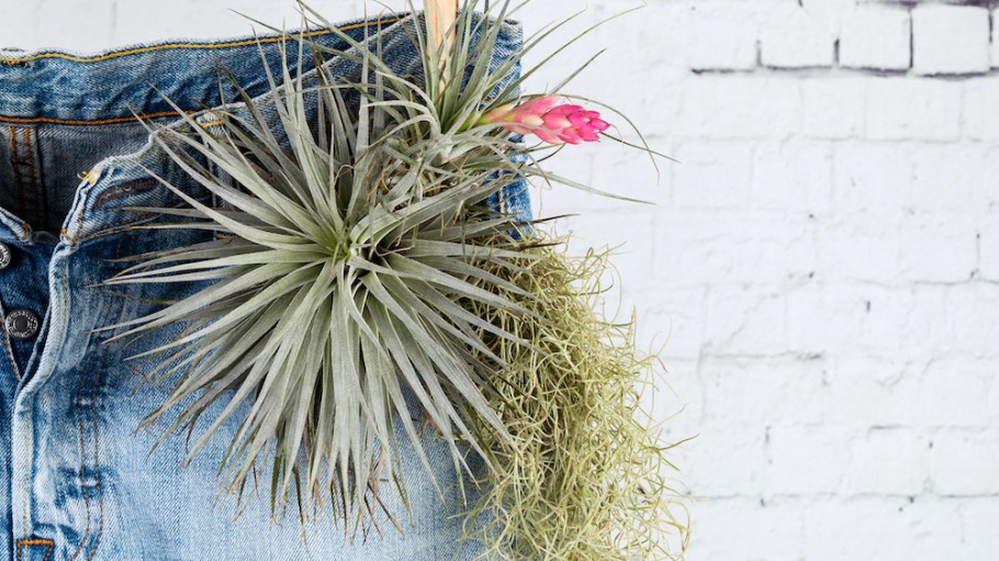 In honor of Earth Day, Rivet compiled a list of denim brands like Levi's that are committed to making a real impact on people and planet.