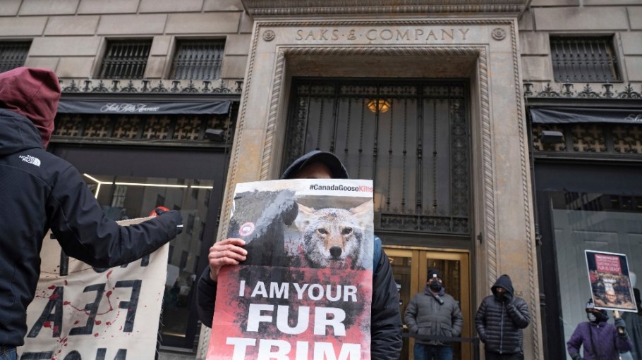Luxury retailer Saks Fifth Avenue has committed to going fur-free, a move it says was influenced by the changing customer zeitgeist.