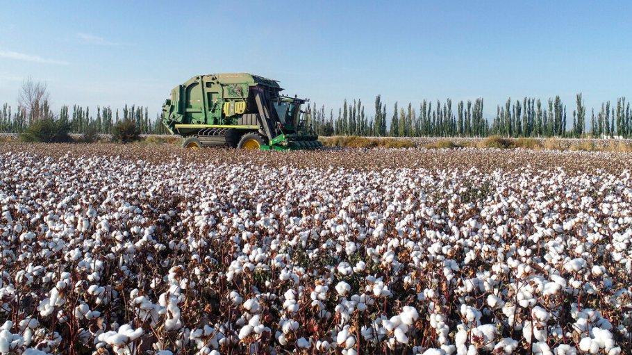 Human-rights groups have criticized the Better Cotton Initiative for scrubbing statements explaining why it exited Xinjiang.