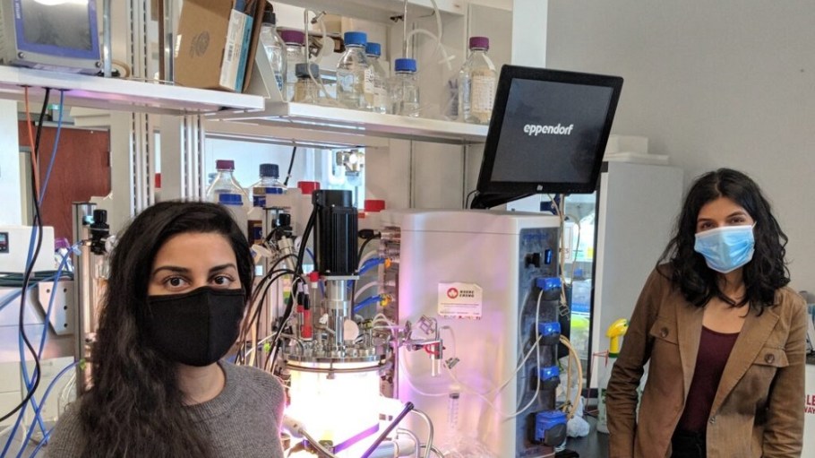 Alt Tex, a biomaterials startup, has closed a $1.5 million pre-seed round to scale the production of its waste-to-wardrobe biotechnology.