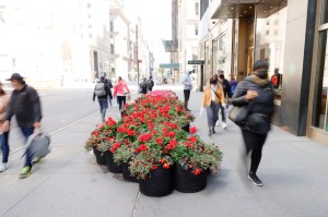 A look at the Fifth Avenue Blooms fashion show.