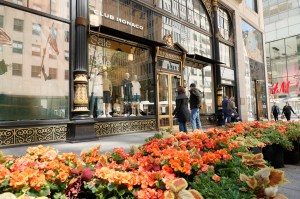 A look at the Fifth Avenue Blooms fashion show.