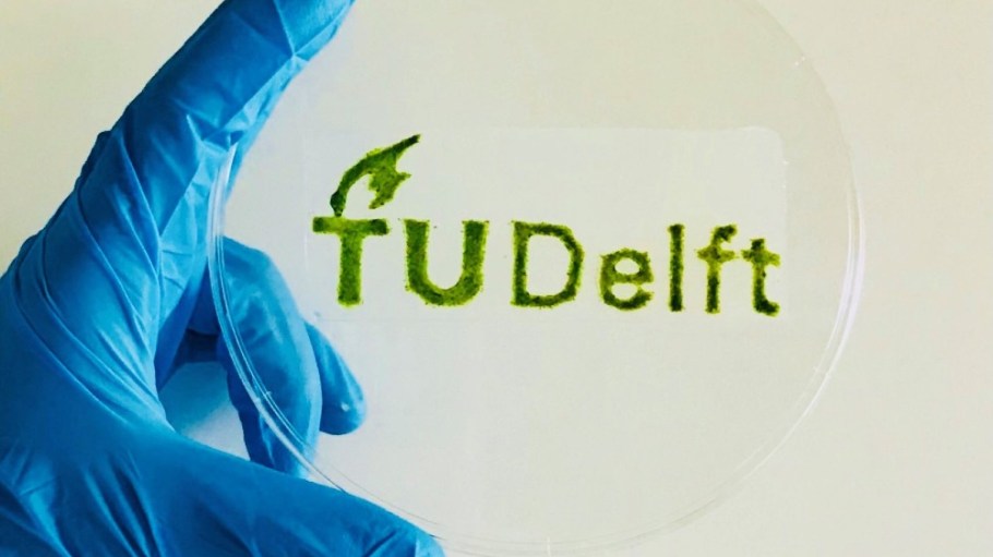 Researchers at Delft University of Technology in the Netherlands have debuted a 3D-printable algae-based material suitable for a number of applications.