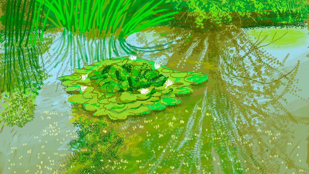David Hockney, "No. 340," May 21, 2020, iPad painting © David Hockney