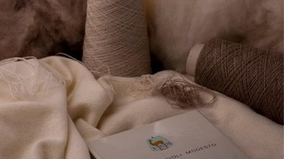Prada Group and Ermenegildo Zegna Group have jointly acquired the majority shareholding interest in yarn maker Filati Biagioli Modesto.