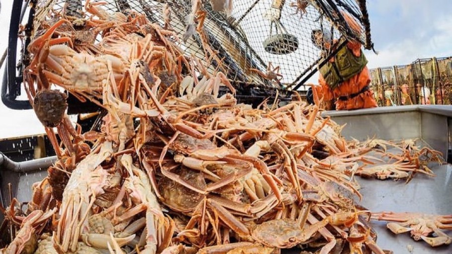 Tidal Vision develops its Tidal-Tex coating from chitosan, a sugar compound found on shellfish.