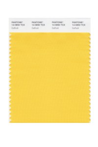 Daffodil 14-0850
