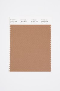 Coca Mocha 18-1019