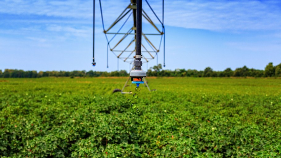 The U.S. Cotton Trust Protocol aims to tell the true story about U.S. cotton and exactly how much water it uses.
