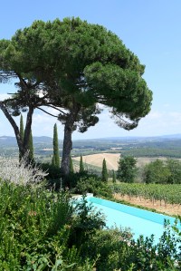The scene at Cantine di Cerreto Estate.