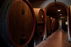 The scene at Cantine di Cerreto Estate.