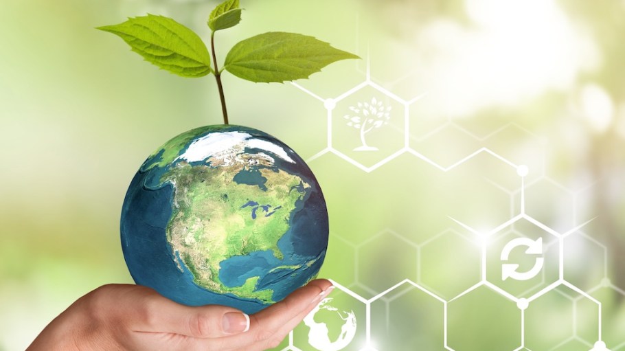 Carbon Offsets sustainability