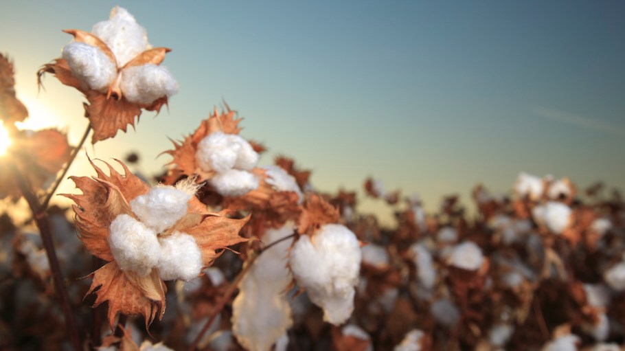 How fashion speaks about sustainability needs an overhaul to weed out noise, avoid greenwashing and better reflect the topic's complexities.