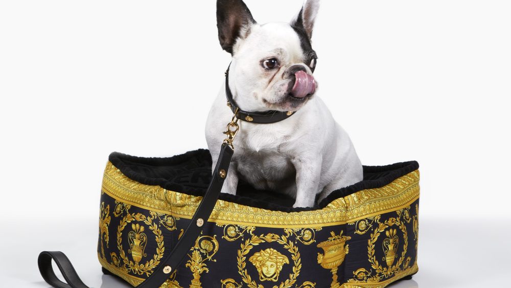 Versace dog bed