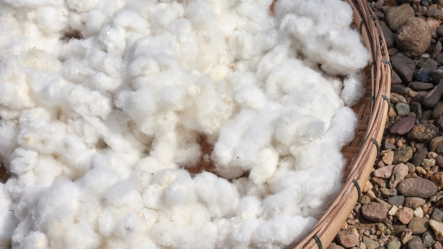 Candiani Denim became the first company to be certified for the new Regenagri Chain of Custody standard.