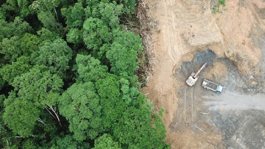 A new mapping project will be the first to thoroughly evaluate the leather industry and its impacts on deforestation.
