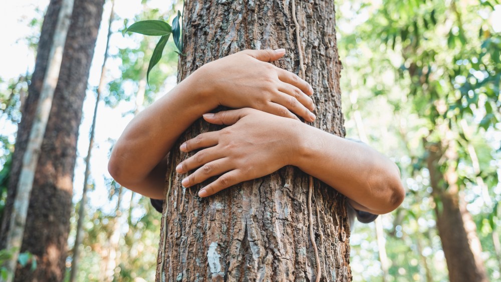 A woman stand behind and give a hug to the old tree in the tropical forest