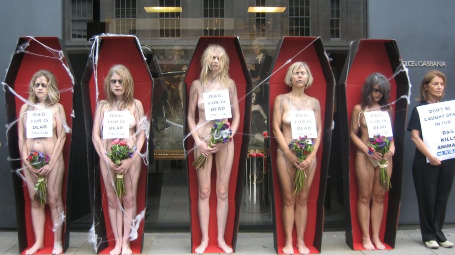 Demonstrators in London in 2016 protesting Dolce & Gabbana's use of fur
