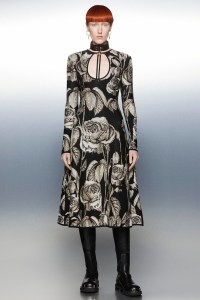 Roberto Cavalli Men's Fall 2022