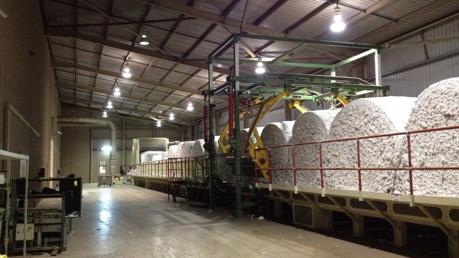 The U.S. Labor Department found 81 percent of cotton gin employers it investigated in the Southeast region violated labor laws.